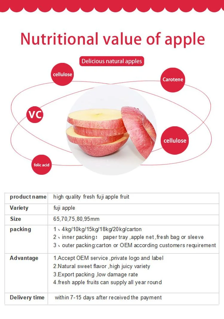 FUJI Red Fresh Apple China Origin Top Quality Rich Nutrition Good Price Free Sample